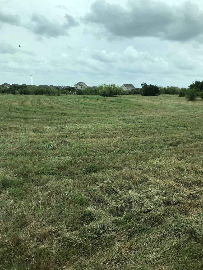 pasture shredding